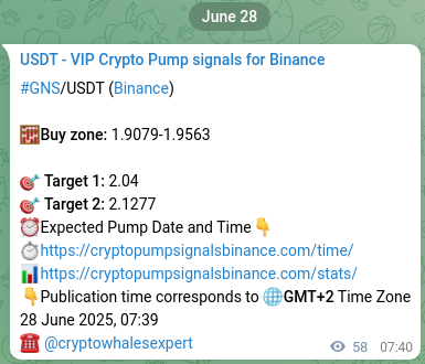 Market signal verification: GNS on Binance at 28 June 2025, 08:08