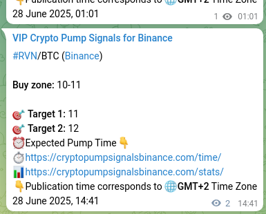 Signal verification: RVN pump on Binance at 28 June 2025, 15:07