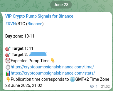 Authenticated proof of RVN's pump signal on Binance at 28 June 2025, 21:05