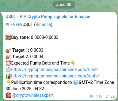 Crypto trading signal verification: LEVER pump on Binance, 30 June 2025, 08:36