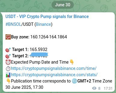 BNSOL pump signal verification from Binance, timestamp: 30 June 2025, 17:45