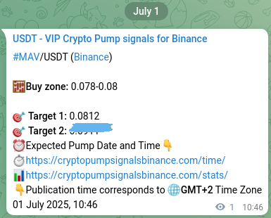 Binance trading signal confirmation for MAV pump, 01 July 2025, 10:48
