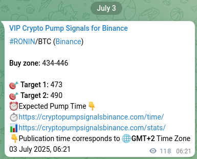 Authenticated proof of RONIN's pump signal on Binance at 03 July 2025, 09:38