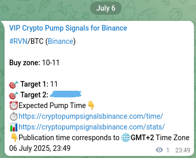 Signal verification: RVN pump on Binance at 06 July 2025, 23:52