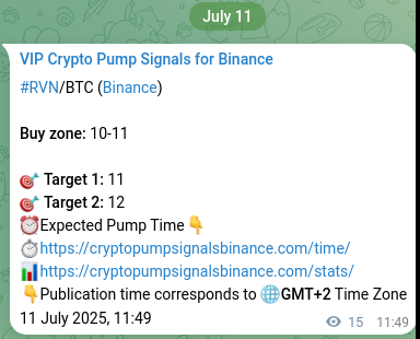 Crypto pump signal analytics for RVN on Binance, 11 July 2025, 12:14