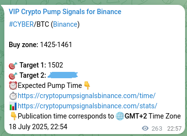 Trading authentication: CYBER signal proof on Binance, 19 July 2025, 06:14