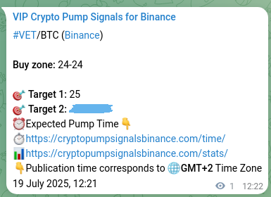 Signal accuracy: VET pump confirmation on Binance, 19 July 2025, 12:24