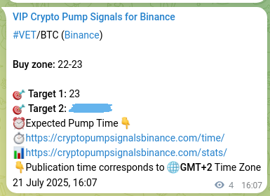 Crypto pump signal proof: VET on Binance, 21 July 2025, 16:13