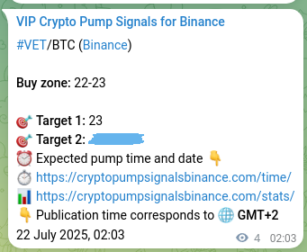 Market proof: VET pump signal validation on Binance, 22 July 2025, 02:09