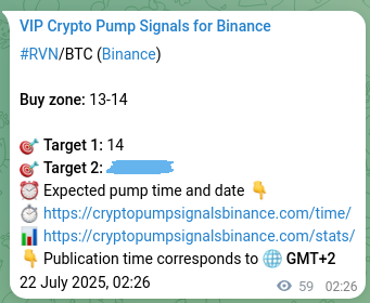 Signal confirmation: RVN pump verification on Binance, 22 July 2025, 04:04