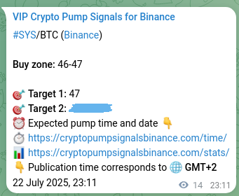 Binance pump signal proof for SYS on 22 July 2025, 23:34