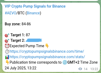 Trading verification: AEVO signal accuracy on Binance, 24 July 2025, 13:44