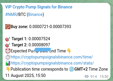 Signal validation: NMR pump evidence on Binance, 12 August 2025, 17:12
