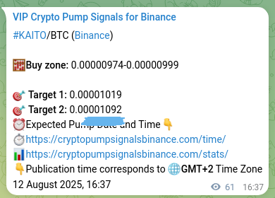 Signal reliability: KAITO pump verification on Binance, 12 August 2025, 18:18
