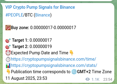 PEOPLE pump signal verification from Binance, timestamp: 13 August 2025, 05:35