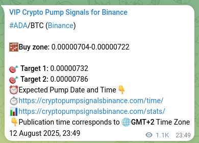Signal authentication: ADA pump validation on Binance, 14 August 2025, 05:07