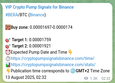 Market proof: BERA pump signal validation on Binance, 14 August 2025, 13:22