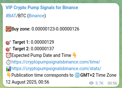 Market proof: BAT pump signal validation on Binance, 16 August 2025, 07:08