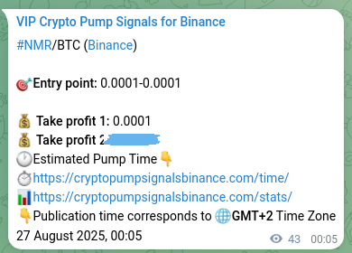 Signal confirmation: NMR pump verification on Binance, 27 August 2025, 01:18