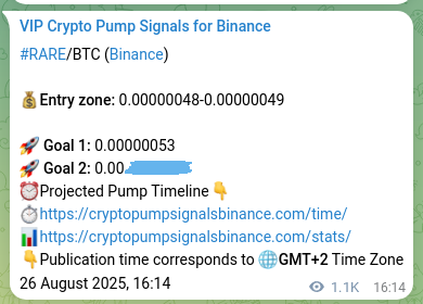 Proof of RARE pump signal on Binance at 27 August 2025, 22:53