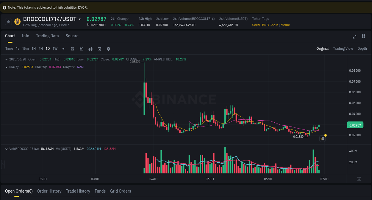Binance trading data for BROCCOLI714 pump, 28 June 2025, 13:04