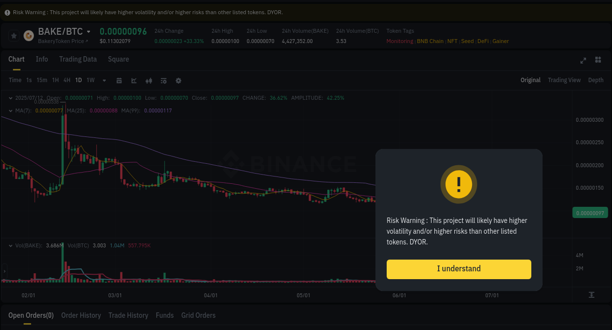 Detailed report of BAKE's pump on Binance at 12 July 2025, 08:09