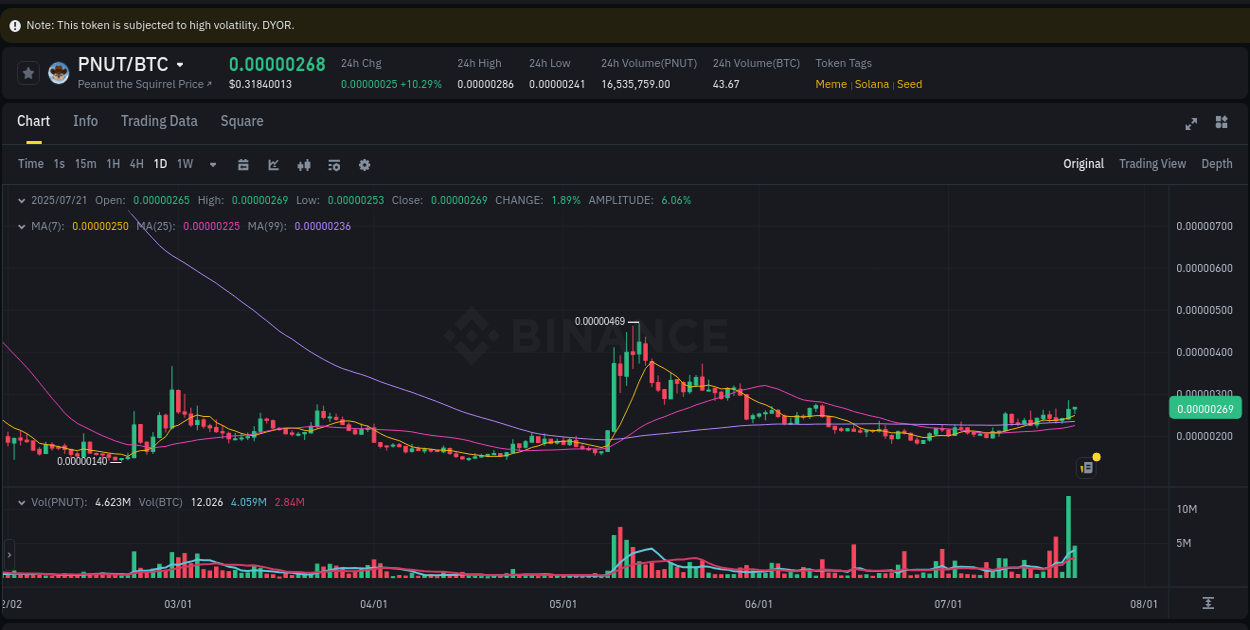 Price trajectory: PNUT upward swing on Binance, 21 July 2025, 08:25