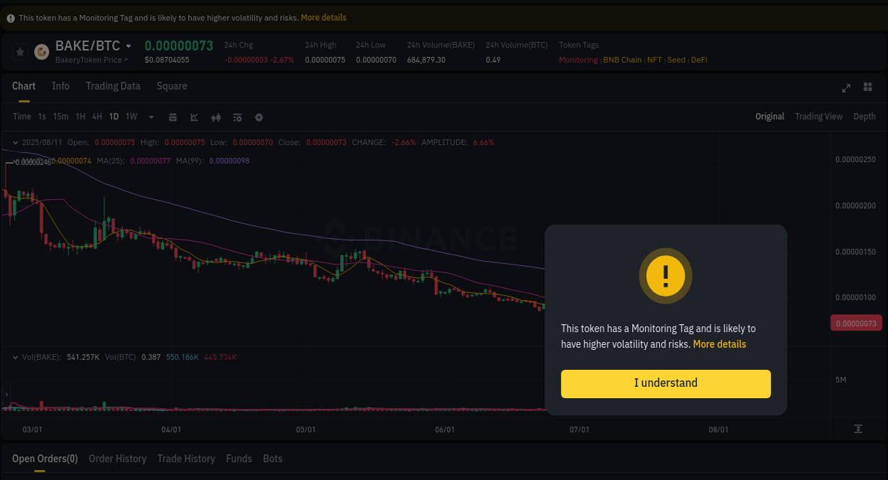 Trading velocity: BAKE pump dynamics on Binance, 11 August 2025, 21:41