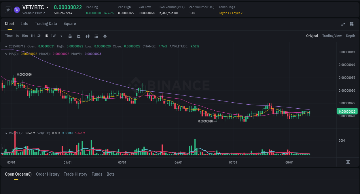 Technical analysis: VET breakout on Binance, 12 August 2025, 19:32
