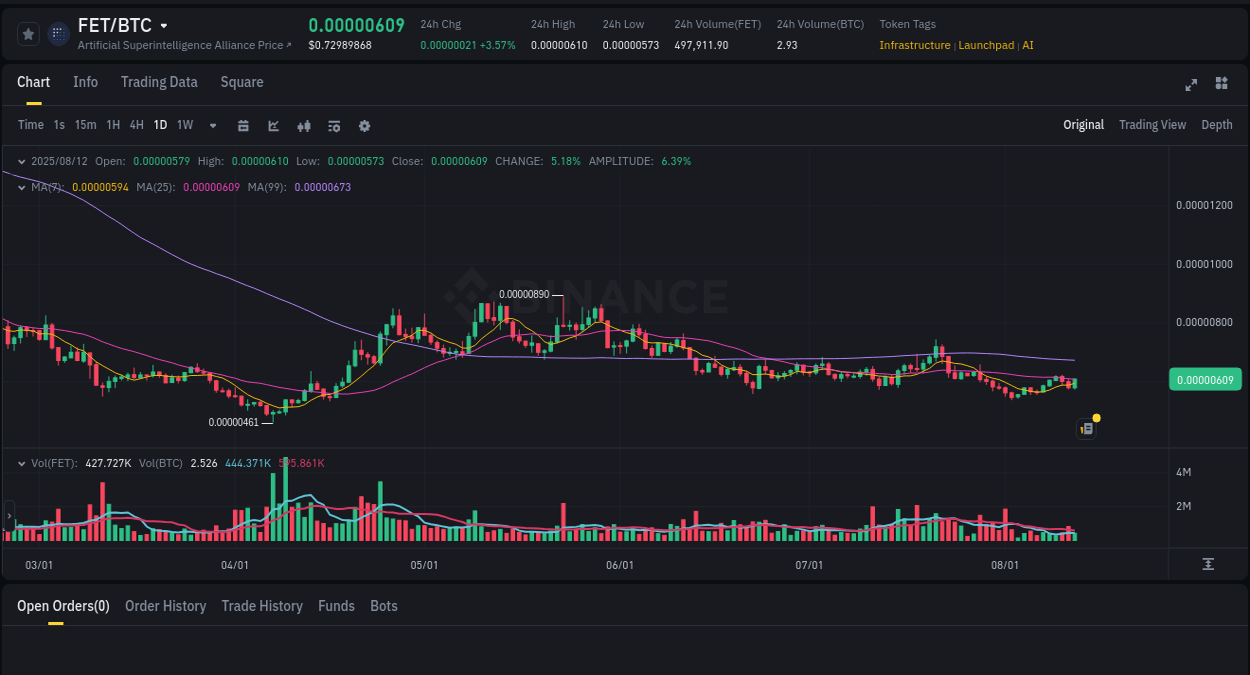 Trading velocity: FET pump dynamics on Binance, 12 August 2025, 20:24